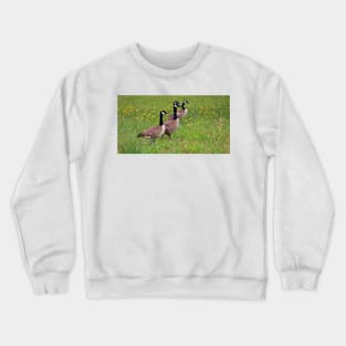 Geese In The Dandelions Crewneck Sweatshirt